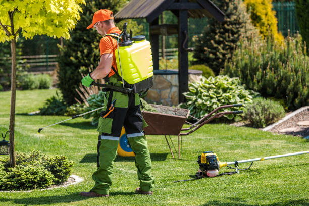 Best Pest Exclusion Services  in Pelican Rapids, MN